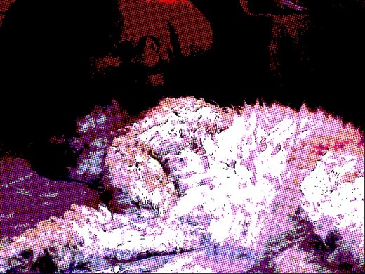 k liinda dormiidiita .... k liinda dormiidiita ....